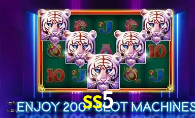 ss5,ss5.com