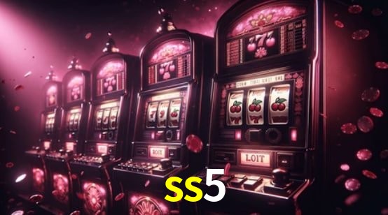 Interface Premium ss5